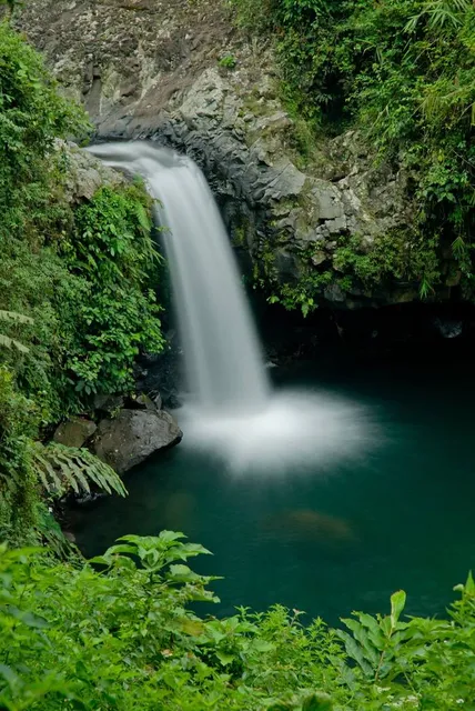 Baturraden Botanical Garden