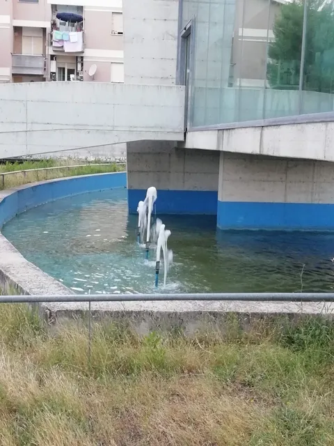 photo-3