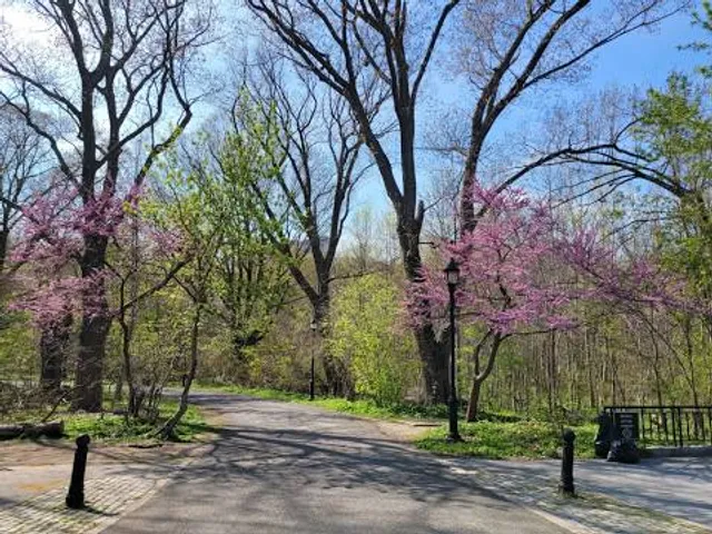 Bronx Park