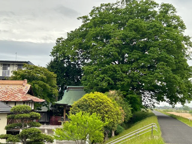 photo-2