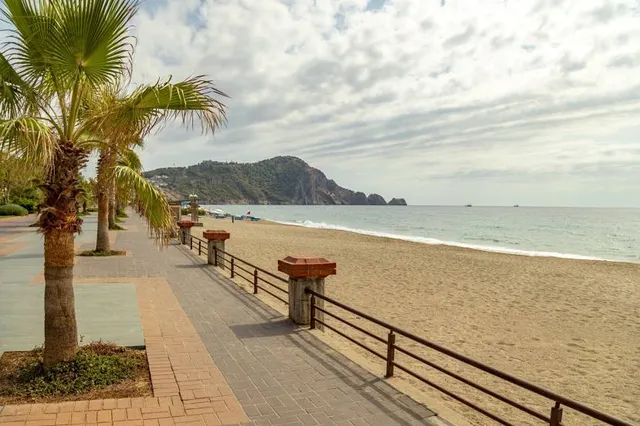 Kleopatra Beach No: 16