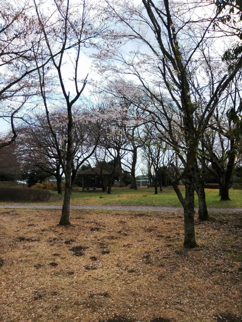 Akatsukafureai Park
