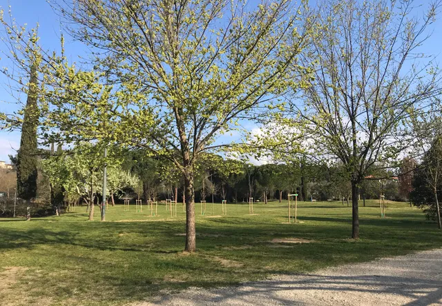 Area Pettini Burresi