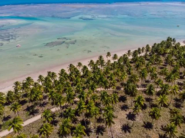 Praia de São Miguel dos Milagres