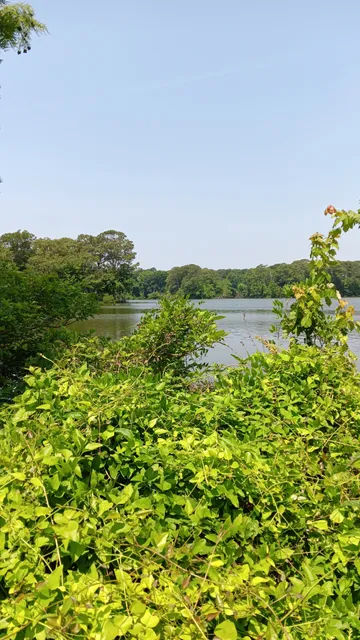 Dominion Energy Garden of Lights