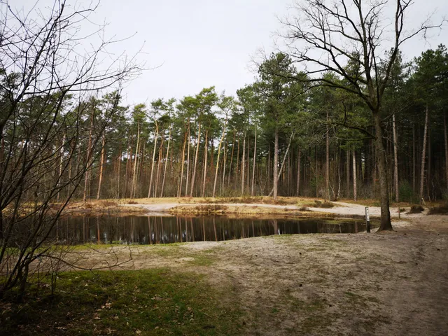 Natuurgebied Gerheserheide