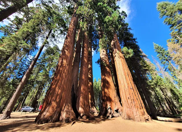 Sequoia & Kings Canyon National Parks