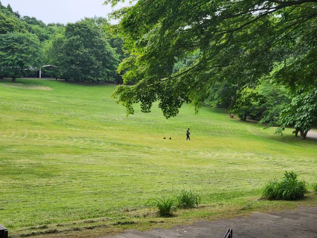 Utsunomiya Cultural Forest