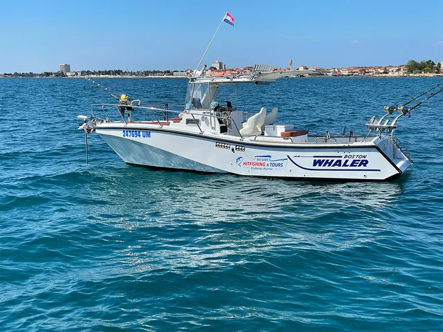 Hit fishing and tours