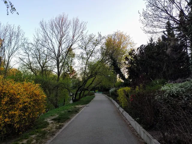 Moat Park and the Citadel Slopes in Warsaw
