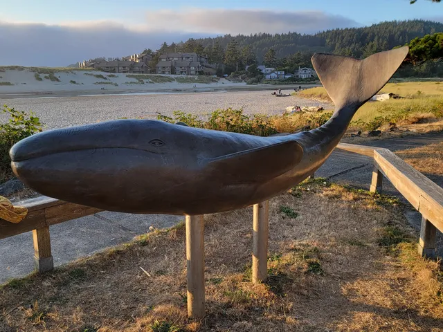 Whale Park