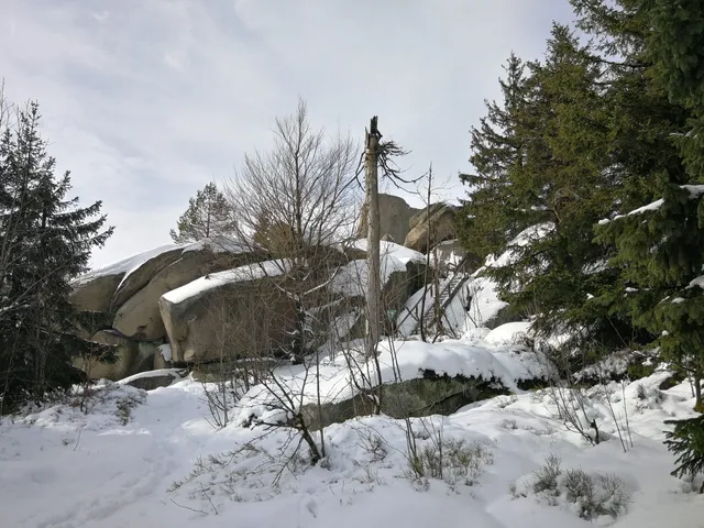 photo-2