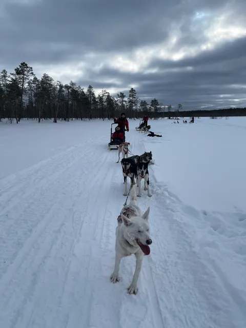 Kamisak Husky Farm