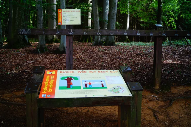 Hahnenkamm Erlebnispfad