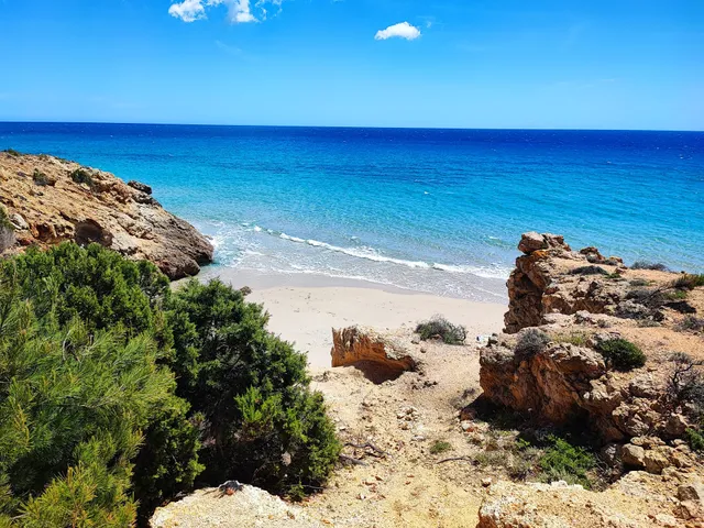 Pinus Village Case Vacanza