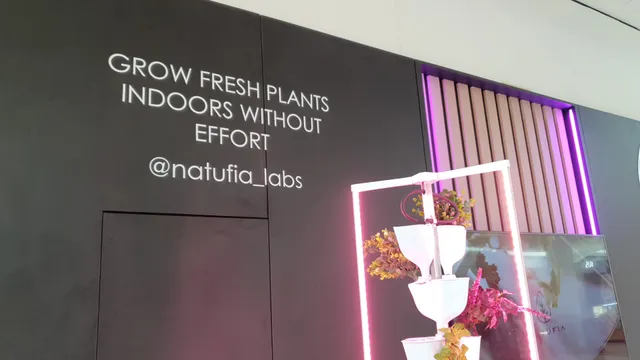 Natufia Dadeland mall