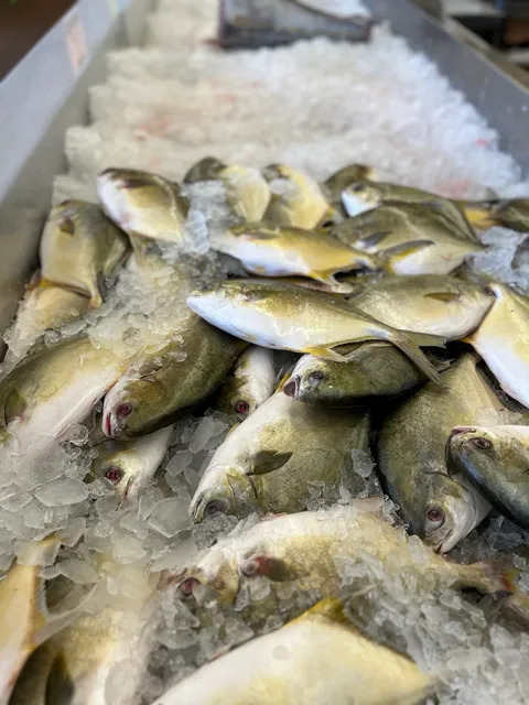 BaileyAnne Gulf Seafood & Fish