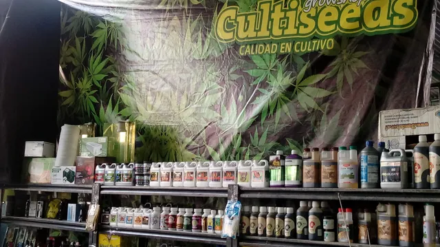 Persa Comunidad San Isidro Bio Bio