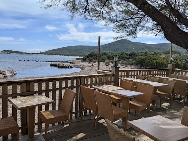 Paillote les tamaris