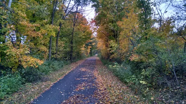 Cherry Grove Township