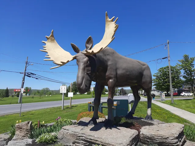 L'Orignal Moose Statue