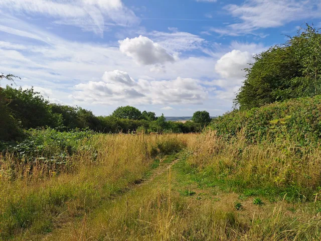 Rede Common Nature Reserve