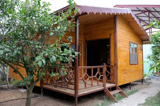 Pensions Çıralı Coast