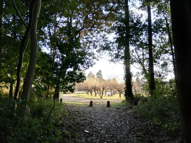 Forest Nakazato citizens