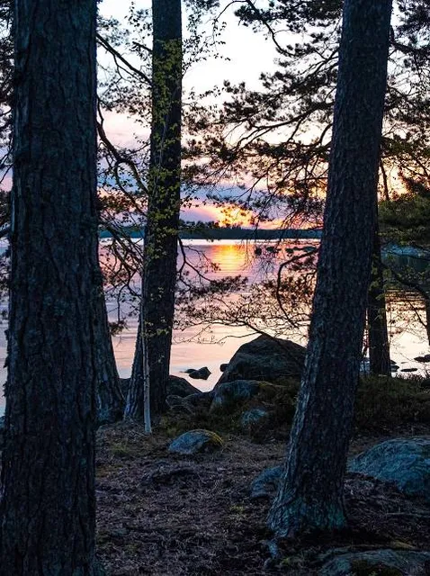 Wildpark Johannismühle