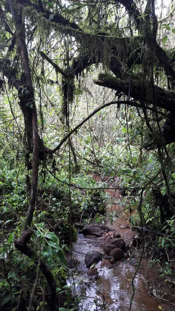 Corso Dairy Farm Tour