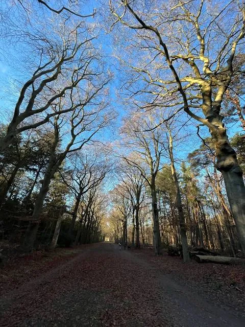 Natuurmonumenten Corvers Forest