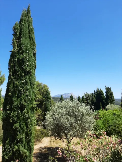 Field of the Painters