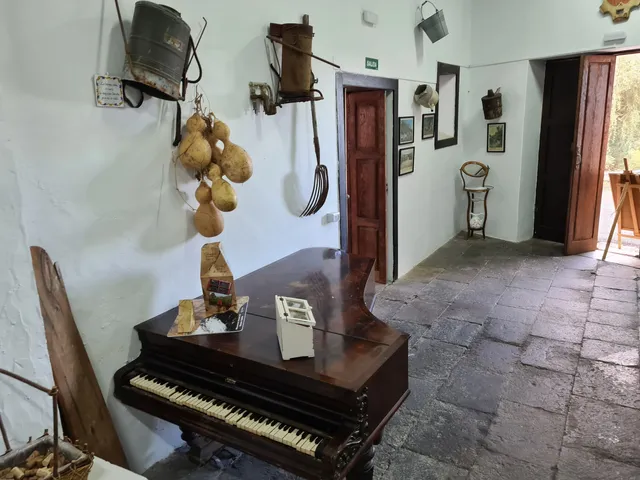 Bodega Los Lirios