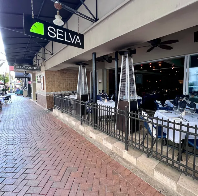 Selva Downtown Sarasota