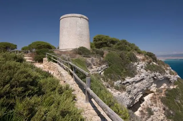 Mirador Torre del Tajo - Medio Ambiente
