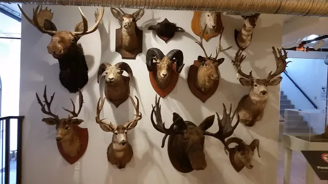 Kamloops Museum & Archives