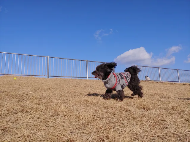 Umi to no Fureai Hiroba