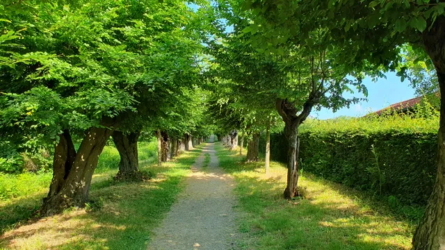 Eingang zur Liebesallee