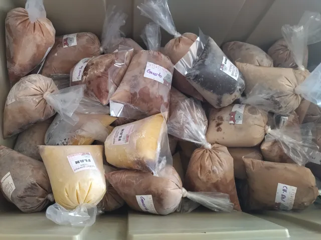 Hielitos gourmet balam