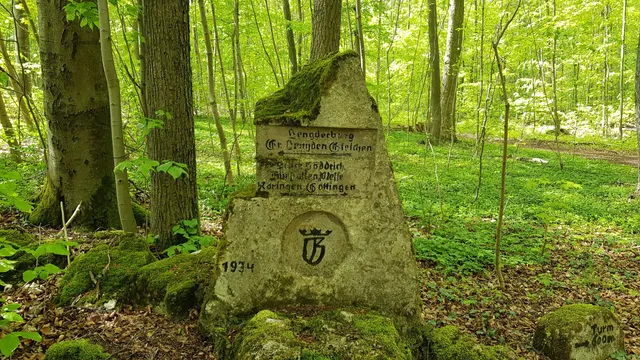 Stadtwald Göttingen