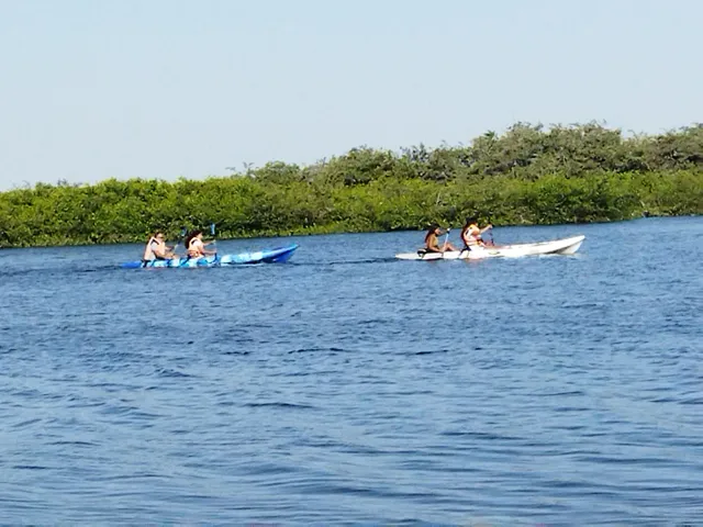 Manglares de Chulliyache