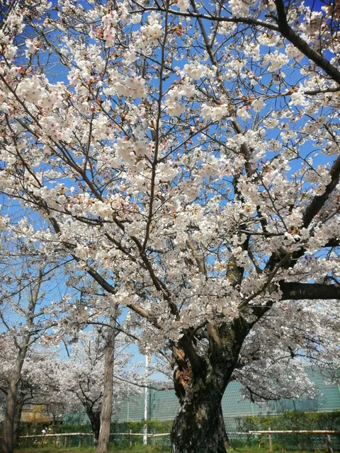 Yawata City Sports Park