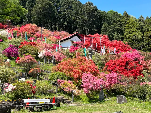 Go-daison Azalea Park