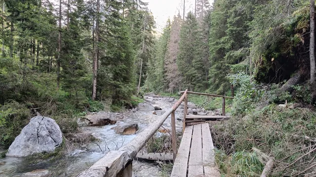 Sentiero Naturalistico Piave - Val Sesis