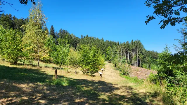 Arboretum de Charvols