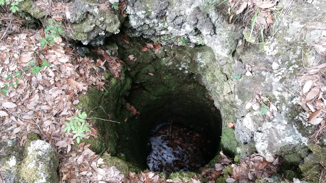 Narusawa lava tree mold