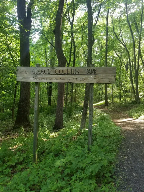 Gollub Park