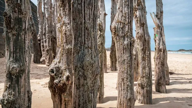 Promenada: Pomnik Poległych Pilotów