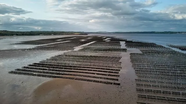 Woodstown Beach