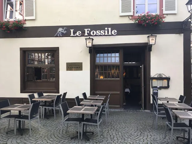 Le Fossile